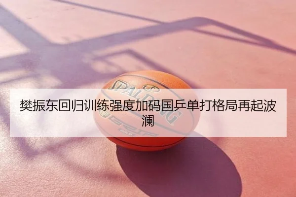 樊振东回归训练强度加码国乒单打格局再起波澜